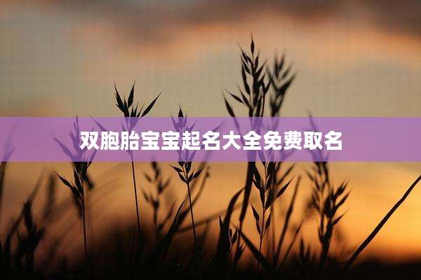 双胞胎宝宝起名大全免费取名