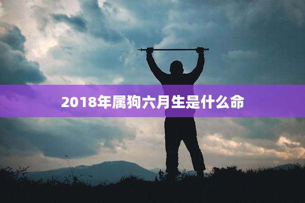 2018年属狗六月生是什么命