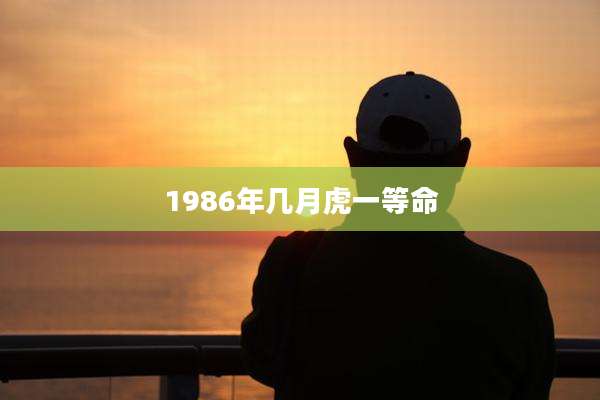 1986年几月虎一等命