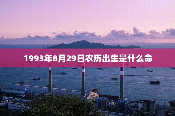 1993年8月29日农历出生是什么命