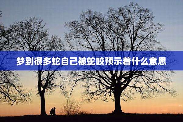 梦到很多蛇自己被蛇咬预示着什么意思