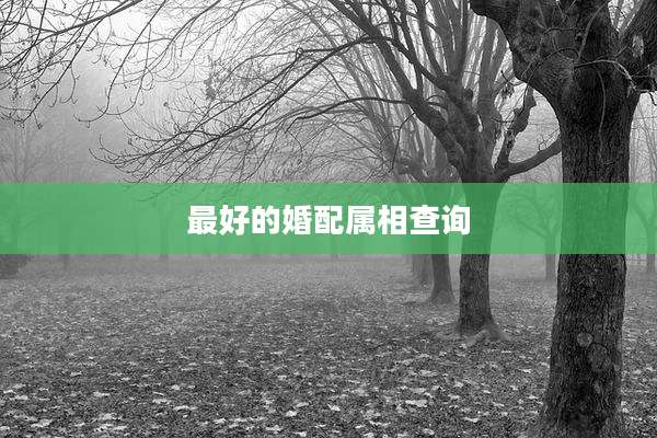 最好的婚配属相查询