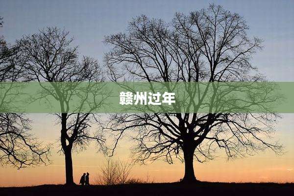 赣州过年