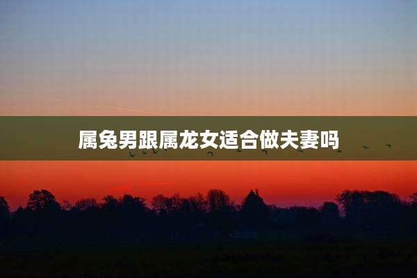 属兔男跟属龙女适合做夫妻吗