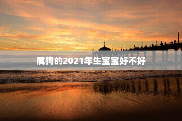 属狗的2021年生宝宝好不好