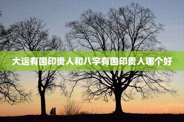 大运有国印贵人和八字有国印贵人哪个好