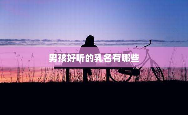 男孩好听的乳名有哪些