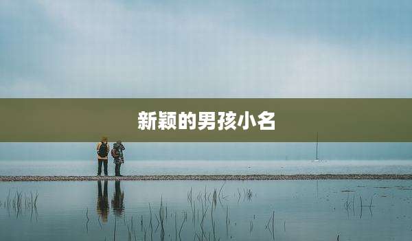 新颖的男孩小名