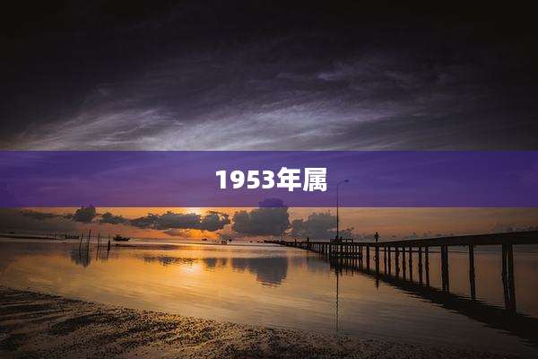 1953年属
