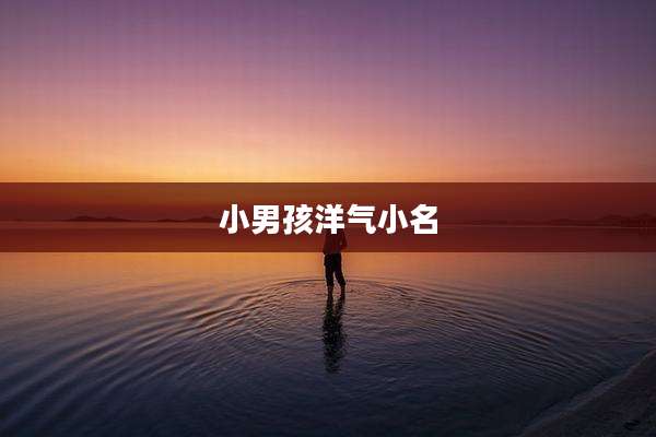 小男孩洋气小名