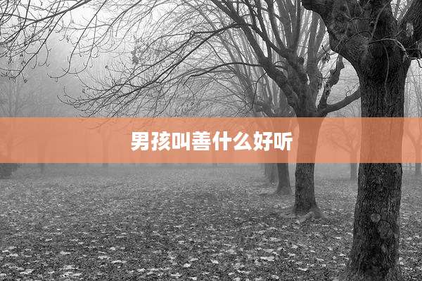 男孩叫善什么好听