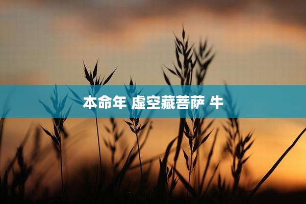 本命年 虚空藏菩萨 牛