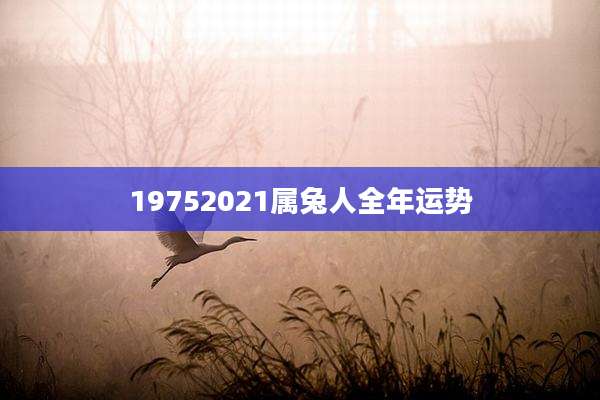 19752021属兔人全年运势