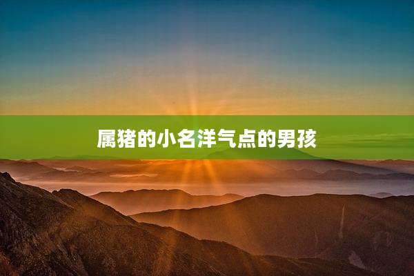 属猪的小名洋气点的男孩