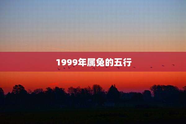 1999年属兔的五行
