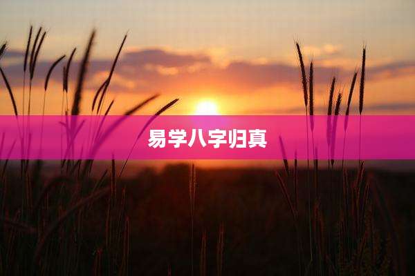 易学八字归真