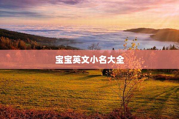宝宝英文小名大全
