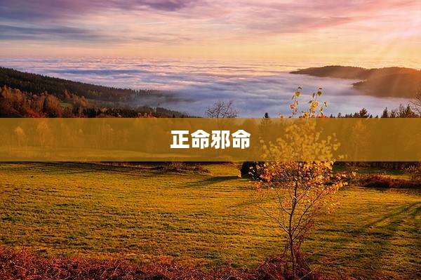 正命邪命