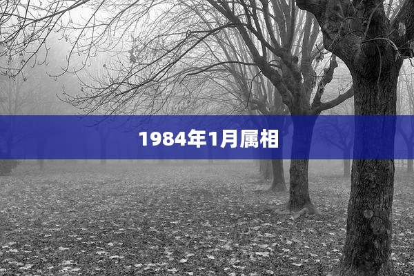 1984年1月属相