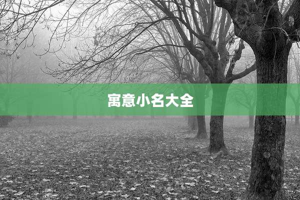 寓意小名大全