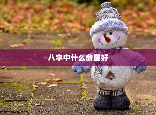 八字中什么命最好