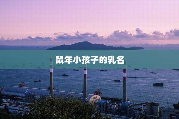 鼠年小孩子的乳名