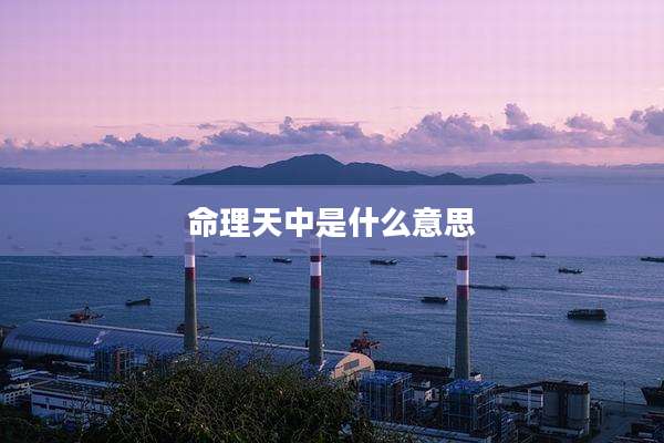 命理天中是什么意思