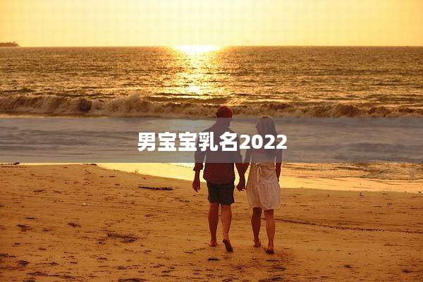 男宝宝乳名2022