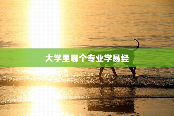 大学里哪个专业学易经