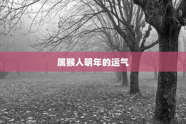 属猴人明年的运气