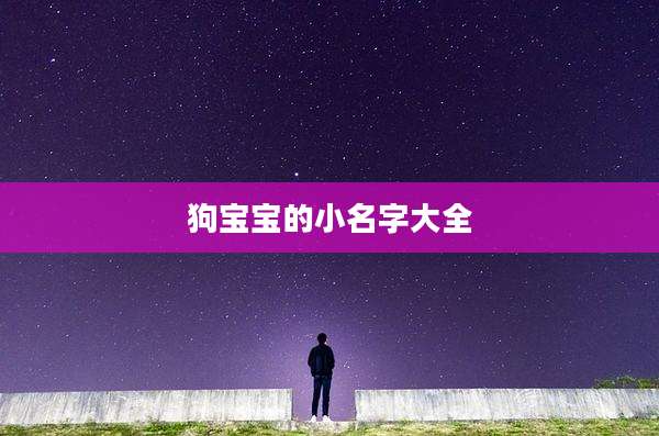 狗宝宝的小名字大全