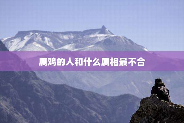 属鸡的人和什么属相最不合