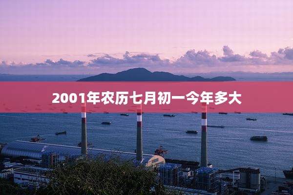 2001年农历七月初一今年多大