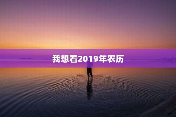 我想看2019年农历
