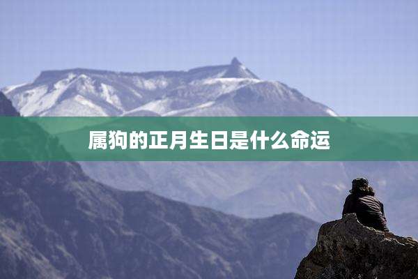 属狗的正月生日是什么命运