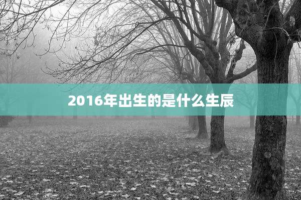 2016年出生的是什么生辰
