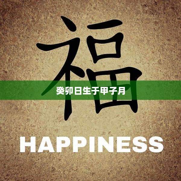 癸卯日生于甲子月