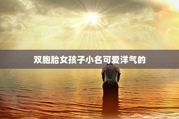 双胞胎女孩子小名可爱洋气的