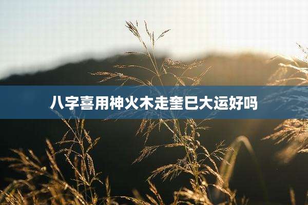 八字喜用神火木走奎巳大运好吗