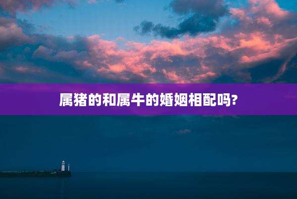 属猪的和属牛的婚姻相配吗?