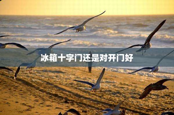 冰箱十字门还是对开门好