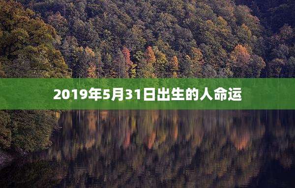 2019年5月31日出生的人命运