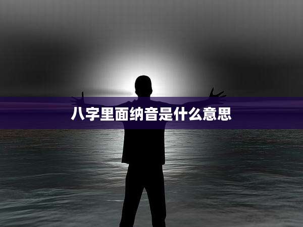 八字里面纳音是什么意思