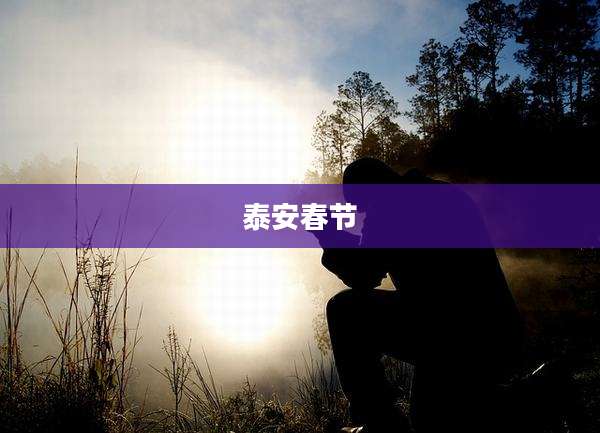 泰安春节