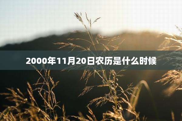 2000年11月20日农历是什么时候