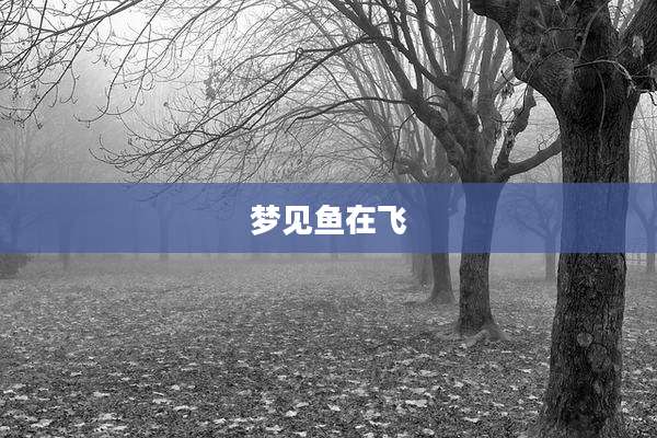 梦见鱼在飞