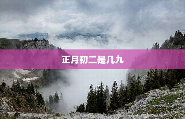 正月初二是几九