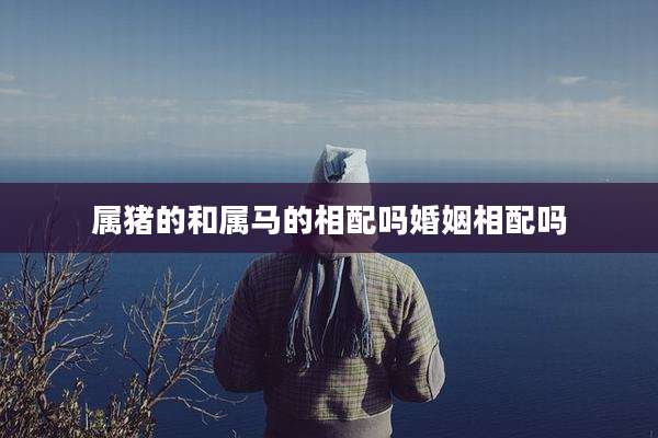 属猪的和属马的相配吗婚姻相配吗
