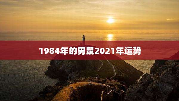 1984年的男鼠2021年运势