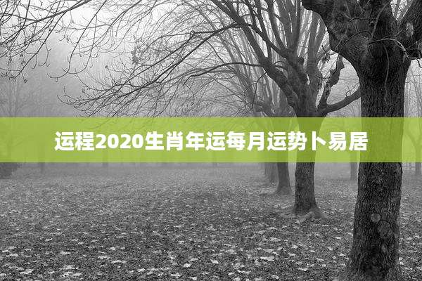 运程2020生肖年运每月运势卜易居